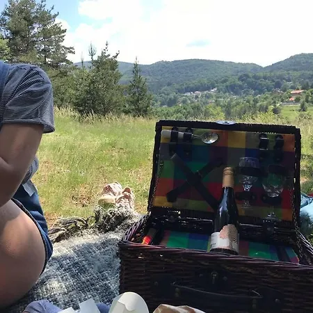 Mansard Underneath The Stars