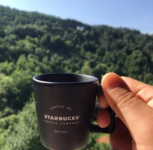 Mansard Underneath The Stars Pripek