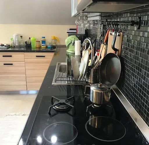 Apartment Mansard Underneath The Stars