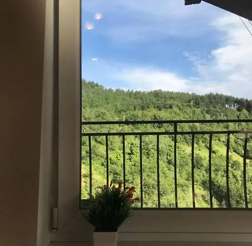 Mansard Underneath The Stars