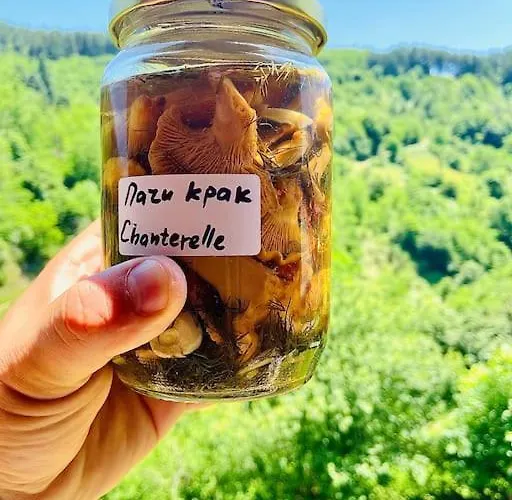 Mansard Underneath The Stars Apartment Pripek