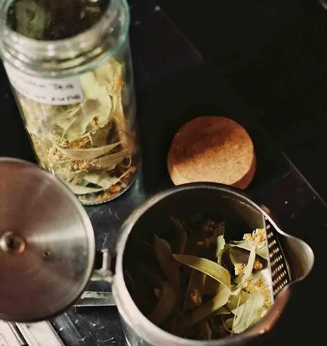 Apartment Mansard Underneath The Stars