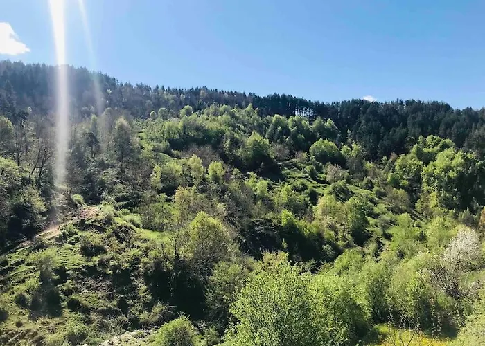 Mansard Underneath The Stars Apartment