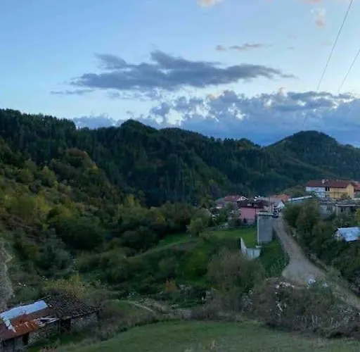 Mansard Underneath The Stars Apartment *